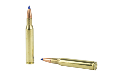 Two rifle cartridges on white background