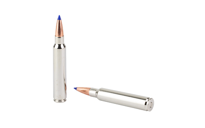 Two silver rifle cartridges with blue tips