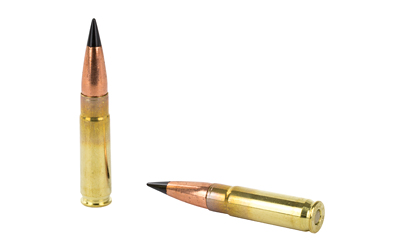 Two rifle cartridges on white background