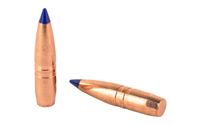 Two copper rifle bullets with blue tips