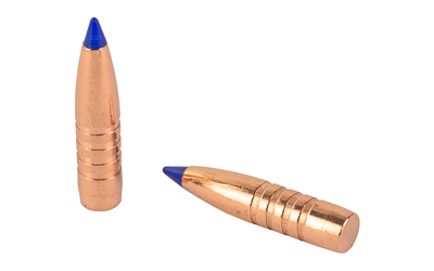 Two copper bullets with blue polymer tips