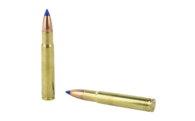 Two blue-tipped rifle cartridges on white background