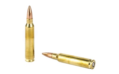 Two rifle cartridges on white background