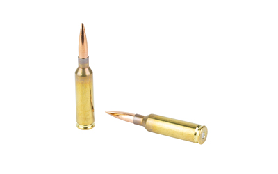 Two rifle cartridges on white background