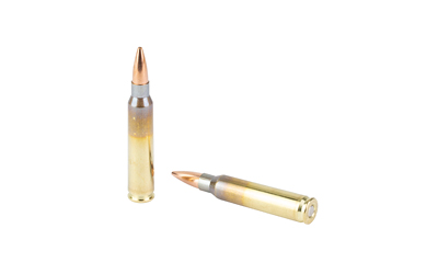 Two rifle cartridges on white background