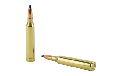 Two rifle cartridges with blue-tipped bullets