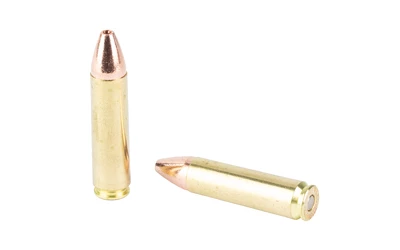 Two brass handgun cartridges on white background