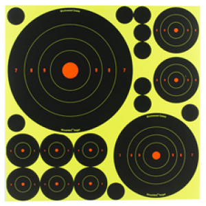 Shooting targets with multiple concentric circles