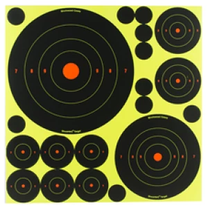 Shooting targets with multiple concentric circles