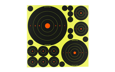 Shooting targets with multiple concentric circles