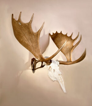 SKULL HOOKER BIG HOOKER LNG ARM BRN