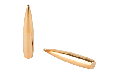 Two copper rifle bullets on white background