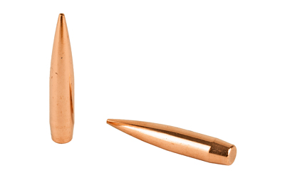 Two copper rifle bullets on white background