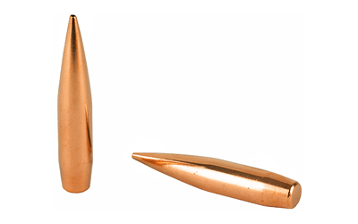 Two copper rifle bullets on white background