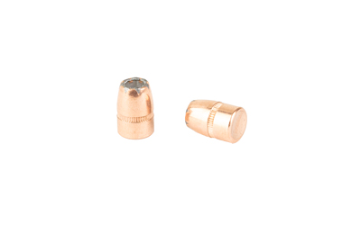 Two copper bullet casings on white background