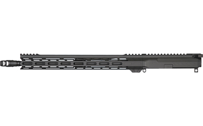 Modern semi-automatic rifle with long handguard