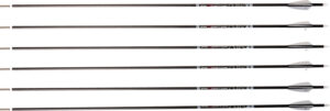 CARBON EXPRESS ARROW PREDATOR - AIR 500 2" Q2i VANES 6PK
