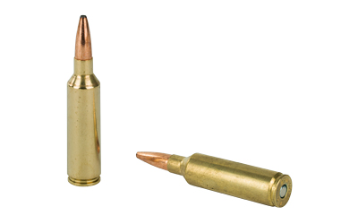 Two rifle cartridges on white background