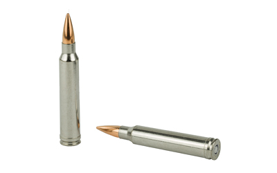 Two rifle cartridges on white background