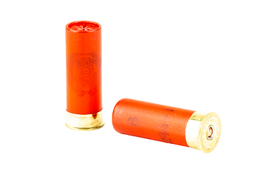 Two red shotgun shells on white background