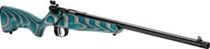 Colorful rifle with unique pattern on stock.