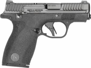 BODYGUARD 2.0 380 ACP 2.75''BBL (2)10RD MAG TS CA COMPL