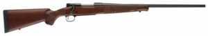 Hunting rifle with wooden stock and long barrel.