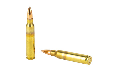 Two rifle bullets isolated on white background.