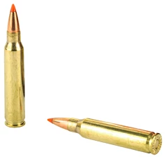 Two rifle bullets isolated on white background.