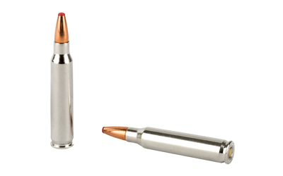 Two rifle bullets isolated on white background.