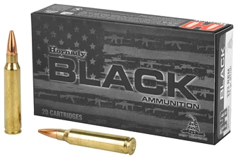 Hornady Black ammunition box with two cartridges.