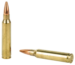 Two rifle bullets isolated on white background.