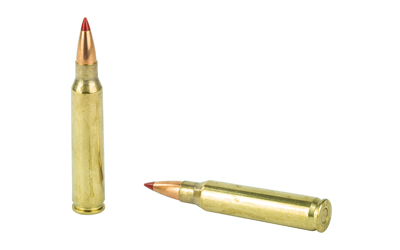 Two rifle bullets with red tips on white.