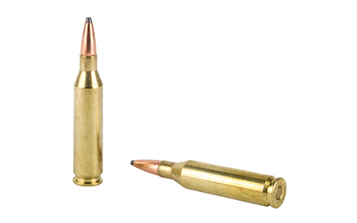 Two rifle bullets on white background