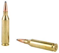 Two rifle bullets on white background