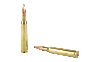 Two rifle bullets on white background