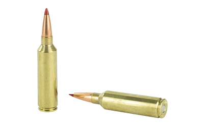 Two brass rifle cartridges on white background