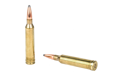 Two brass rifle cartridges on white background
