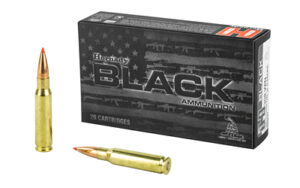 Box of rifle ammunition with two cartridges displayed
