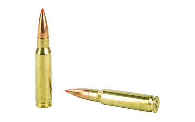Two brass rifle cartridges on white background
