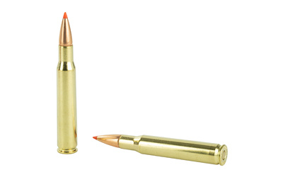 Two rifle cartridges on white background