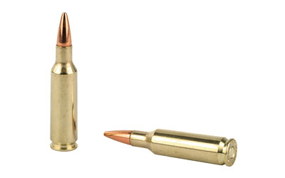 Two rifle cartridges on white background
