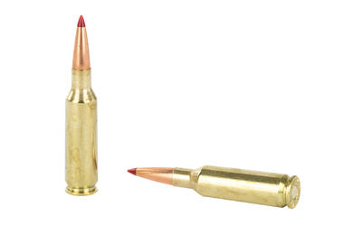 Two rifle bullets, upright and lying down.