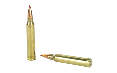 Two rifle cartridges on white background