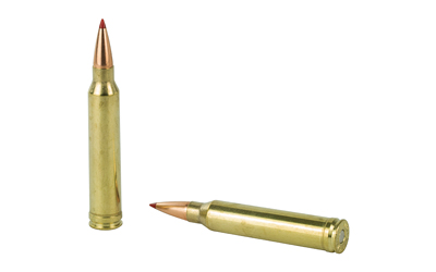 Two rifle cartridges on white background