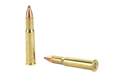 Two rifle cartridges on white background