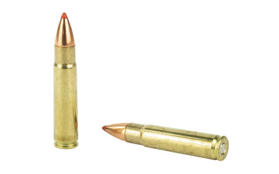 Two rifle cartridges on white background