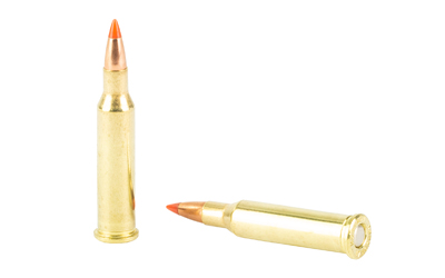 Two rifle cartridges on white background.