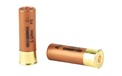 Two 12-gauge shotgun shells on white background