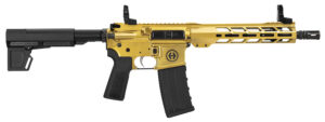 HIPOINT PISTOL HP-15 5.56 - 10.5" 30RD BLADE BRACE GOLD